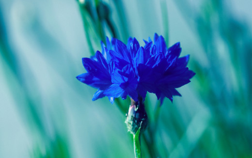 679264 (a): :2560x1600